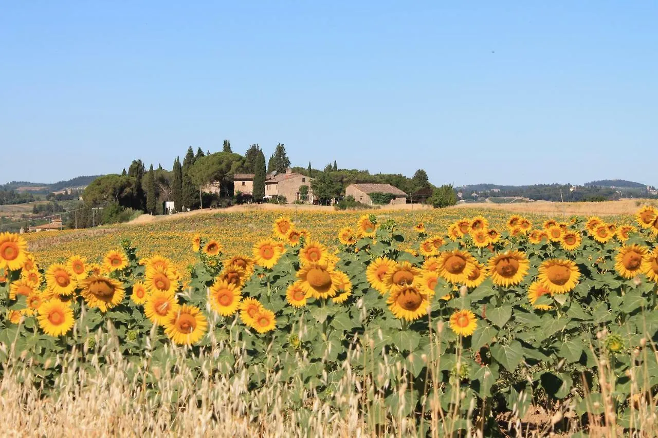 Il Poggio B&B contacts
